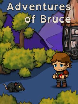 Jaquette Adventures of Bruce