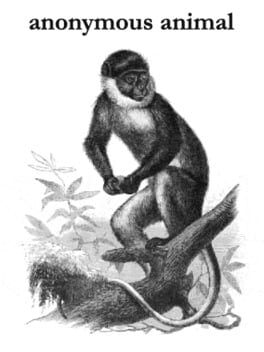 Jaquette Anonymous Animal