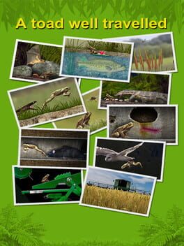 Jaquette A toad well travelled