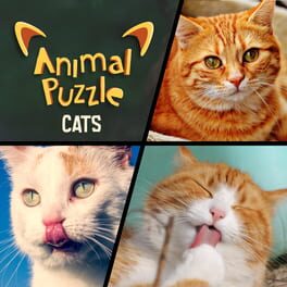 Jaquette Animal Puzzle Cats