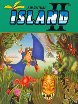 Jaquette Adventure Island II