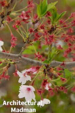 Jaquette Architectural Madman