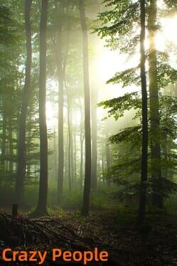 Jaquette Crazy People