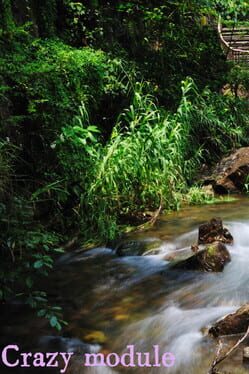 Jaquette Crazy module