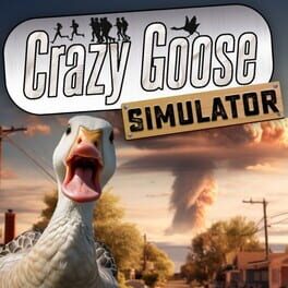 Jaquette Crazy Goose Simulator