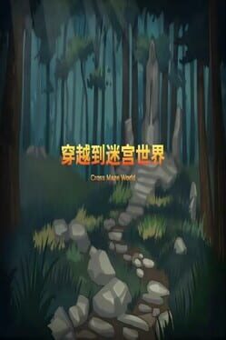 Jaquette Cross the Maze World