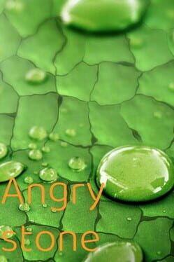 Jaquette Angry stone