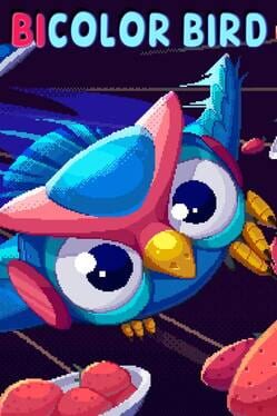 Jaquette Bicolor Bird