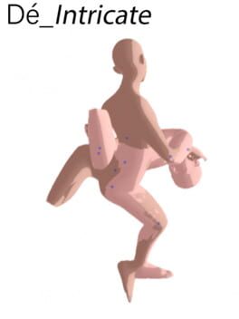 Jaquette Dé_Intricate