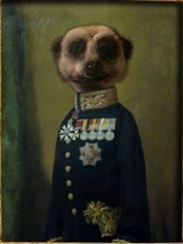 Jaquette Compare the Meerkat