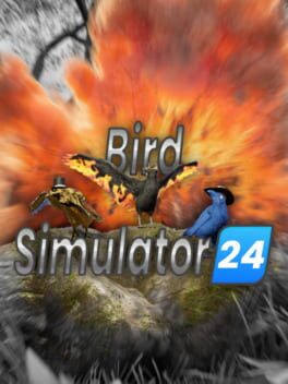 Jaquette Bird Simulator 24