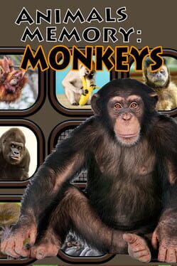 Jaquette Animals Memory: Monkeys