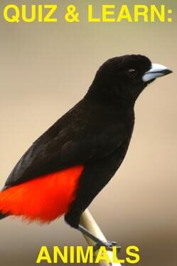 Quiz & Learn: Animals