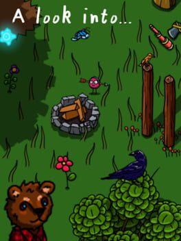 Jaquette A look into...