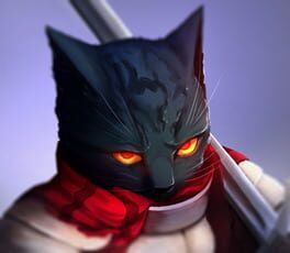 Jaquette Cat Knights