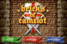 Jaquette Bricks of Camelot